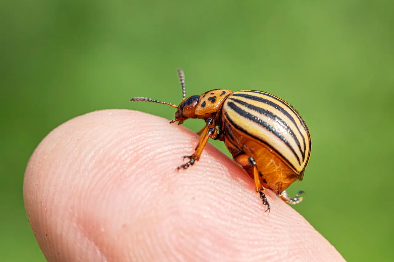 "Dobry produkt sam się obroni" to największy szkodnik Twojego biznesu